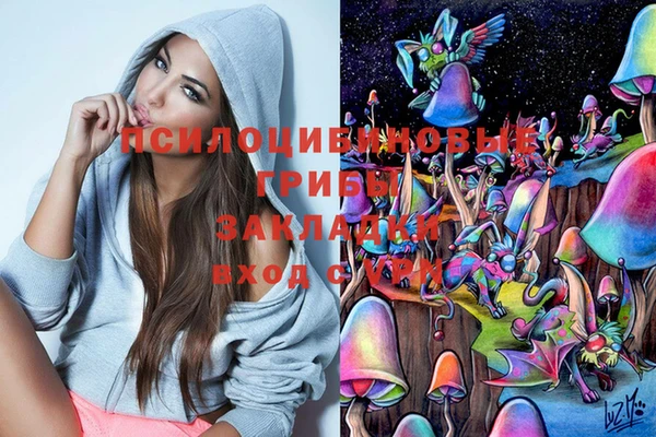 соль курить ск Дмитров