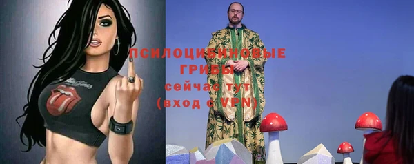 соль курить ск Дмитров