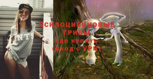 молекула духа Дмитриев