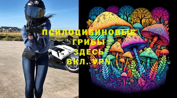 спиды Дмитровск
