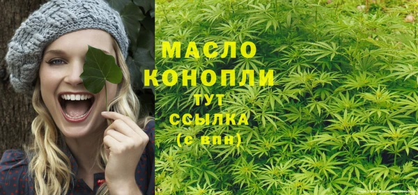 молекула духа Дмитриев