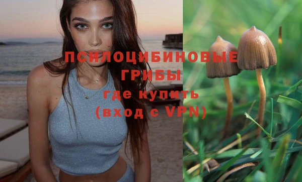 соль курить ск Дмитров