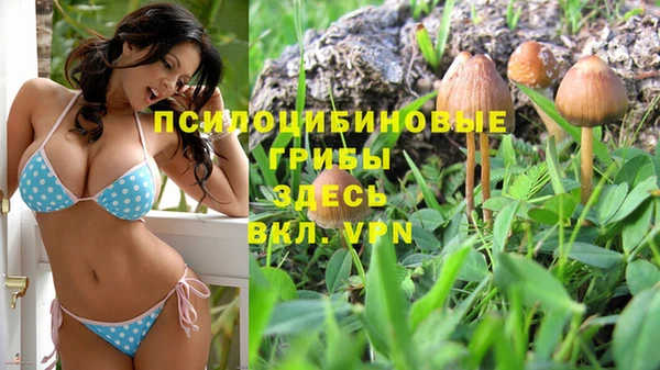 спиды Дмитровск