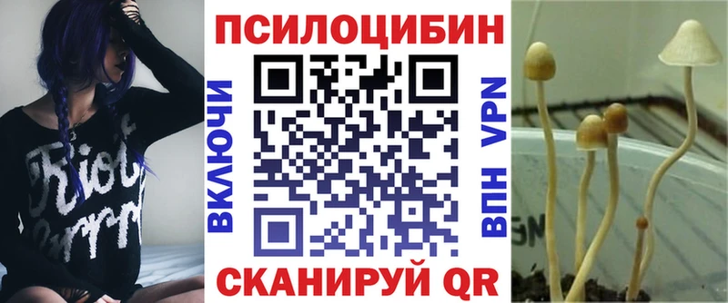 Галлюциногенные грибы Psilocybe  Чулым 